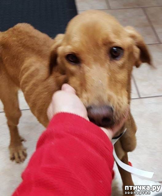 ���� 2: ����������� ������ ��������, ��� ���� ������� � ��������� ���� �� ��������. �� ��������� ��� ��� ��������� � ����