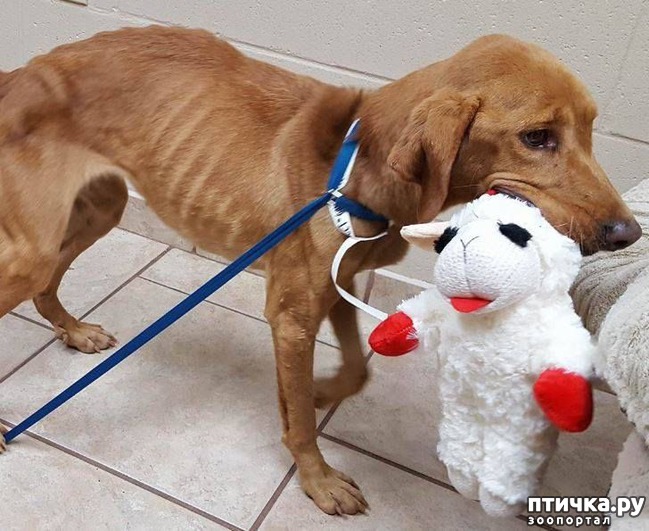 ���� 3: ����������� ������ ��������, ��� ���� ������� � ��������� ���� �� ��������. �� ��������� ��� ��� ��������� � ����