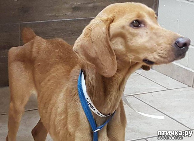 ���� 4: ����������� ������ ��������, ��� ���� ������� � ��������� ���� �� ��������. �� ��������� ��� ��� ��������� � ����