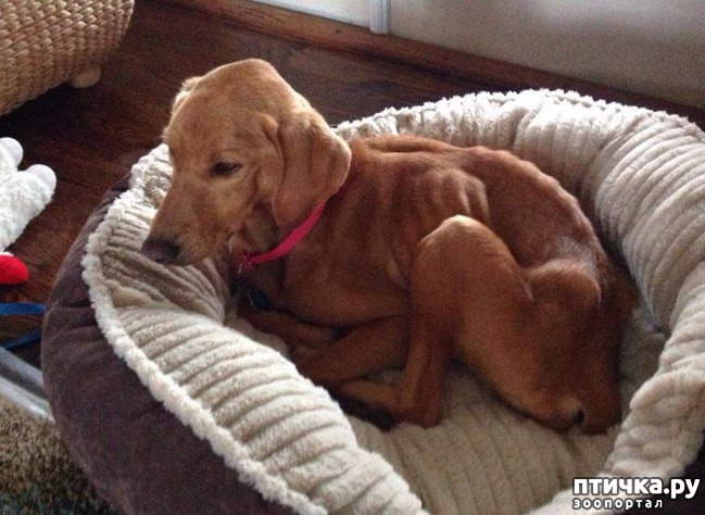 ���� 5: ����������� ������ ��������, ��� ���� ������� � ��������� ���� �� ��������. �� ��������� ��� ��� ��������� � ����