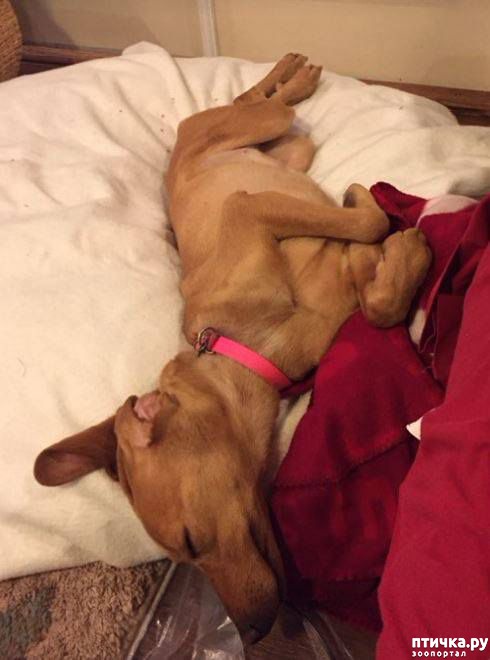 ���� 6: ����������� ������ ��������, ��� ���� ������� � ��������� ���� �� ��������. �� ��������� ��� ��� ��������� � ����