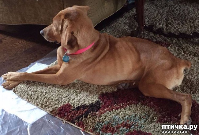 ���� 7: ����������� ������ ��������, ��� ���� ������� � ��������� ���� �� ��������. �� ��������� ��� ��� ��������� � ����