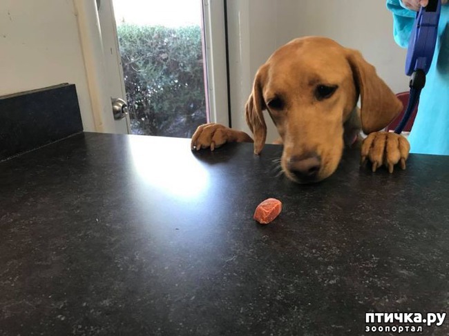 ���� 8: ����������� ������ ��������, ��� ���� ������� � ��������� ���� �� ��������. �� ��������� ��� ��� ��������� � ����