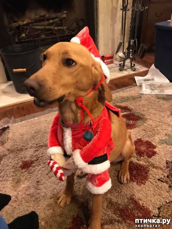 ���� 10: ����������� ������ ��������, ��� ���� ������� � ��������� ���� �� ��������. �� ��������� ��� ��� ��������� � ����