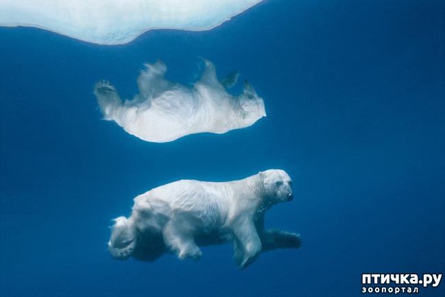 ���� 1: ��� �� �������! ������������ - ��...