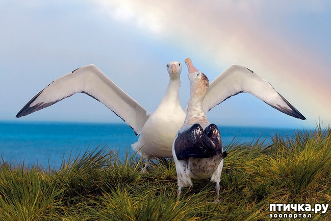 ���� 3: ��� �� �������! ������������ - ��...