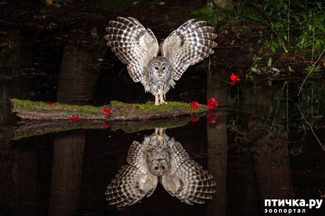 ���� 5: ��� �� �������! ������������ - ��...