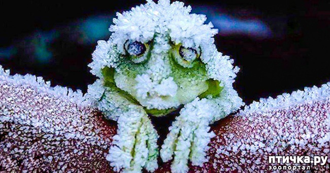 ���� 6: ��� �� �������! ������������ - ��...