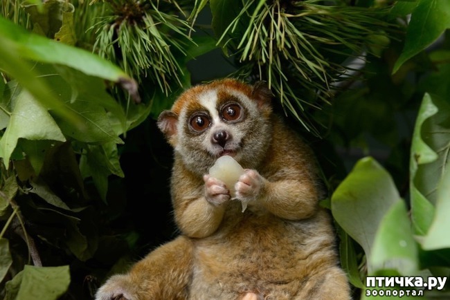 ���� 7: ��� �� �������! ������������ - ��...