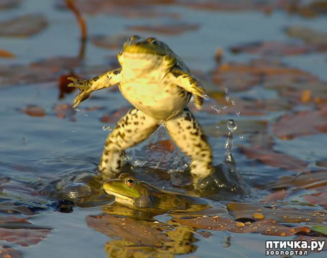 ���� 8: ��� �� �������! ������������ - ��...