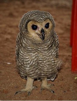 ���� 16: ��� �� �������! ������������ - ��...