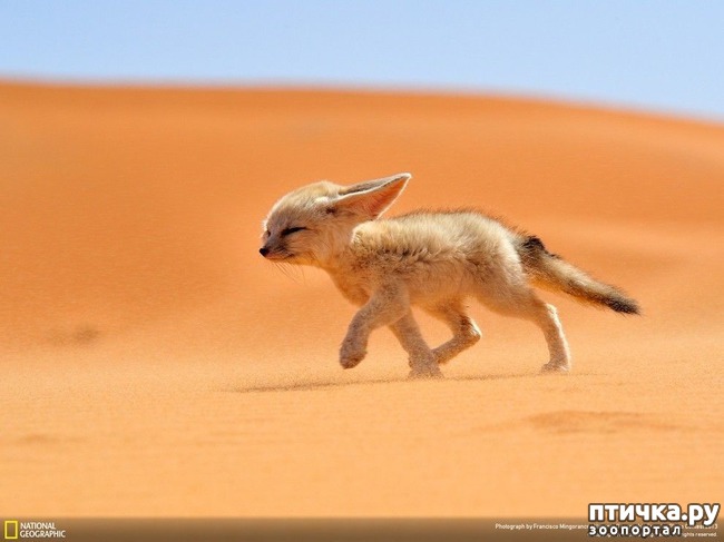 ���� 19: ��� �� �������! ������������ - ��...