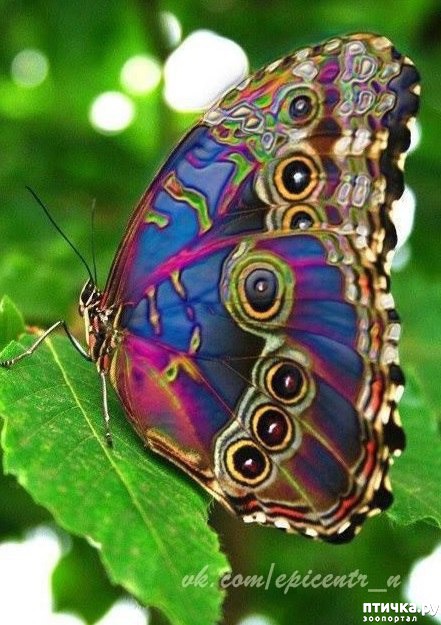 ���� 20: ��� �� �������! ������������ - ��...