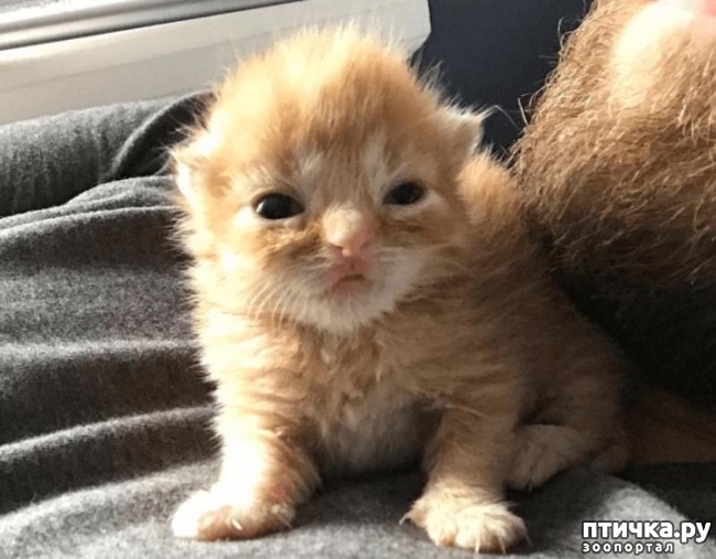 ���� 1: ��������� �� �������