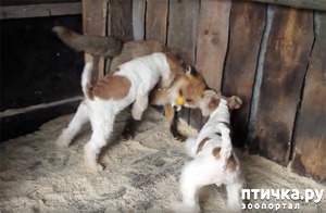 ����: ��������� �������! ������� ����� ��������� ������������� �����!