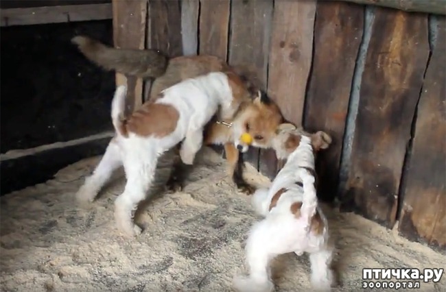 ���� 1: ��������� �������! ������� ����� ��������� ������������� �����!