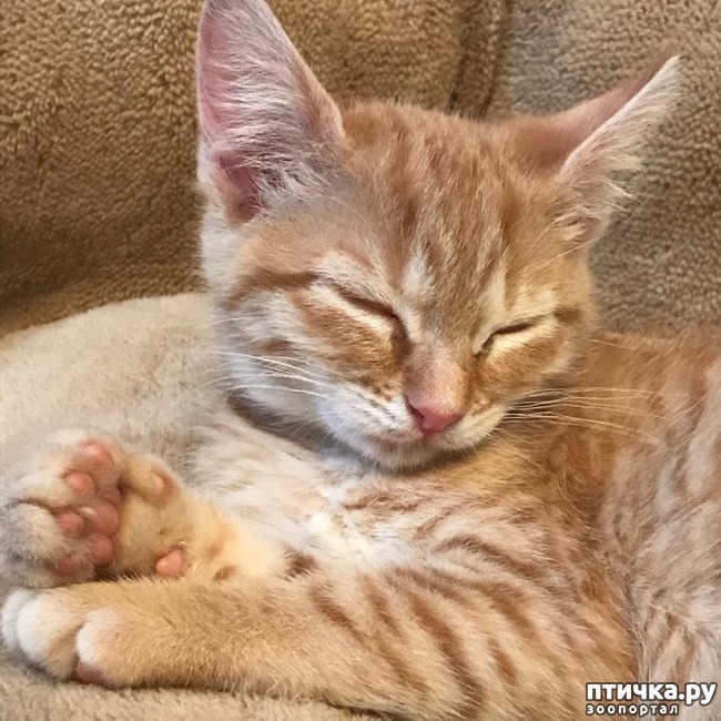 ���� 7: ��������� �� �������