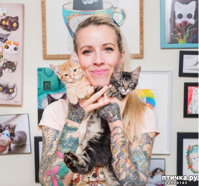 ���� 8: ��������� �� �������