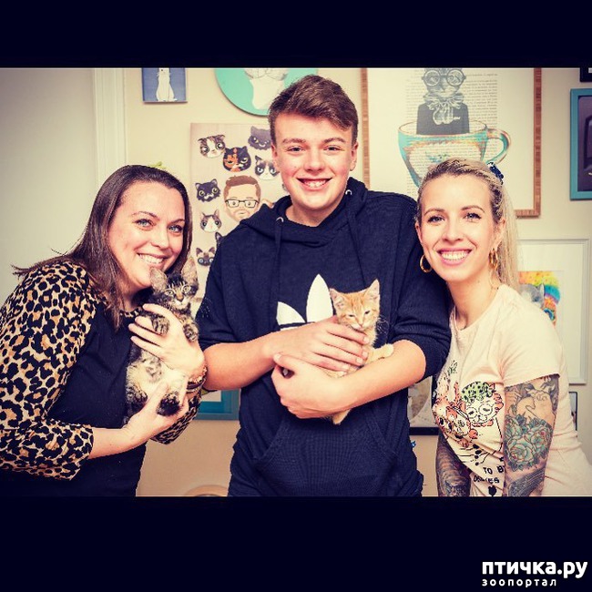 ���� 9: ��������� �� �������