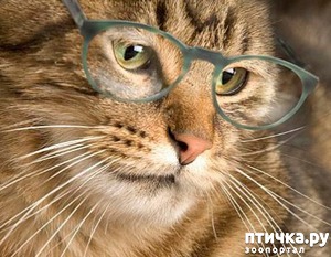 ����: �������� ������� �����