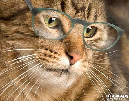 ���� 1: �������� ������� �����