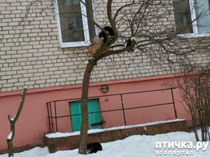 ����: ����� ����. ���� ���������.