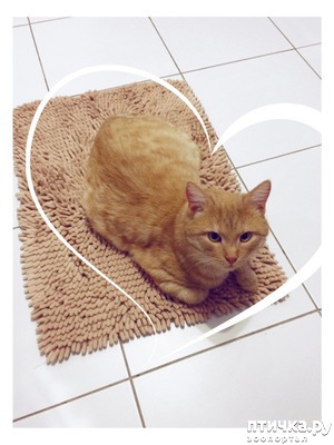 ����: ���� ���!