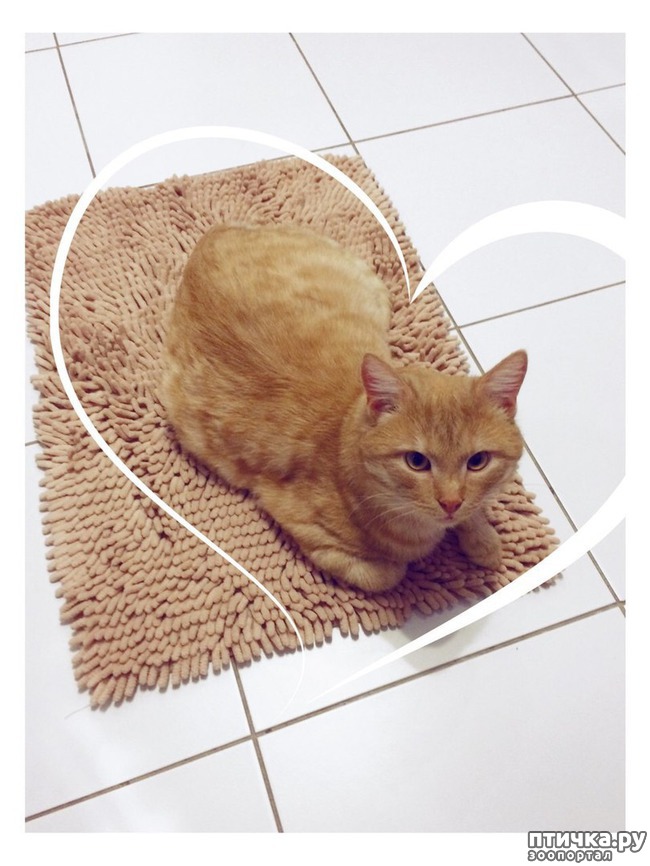 ���� 1: ���� ���!