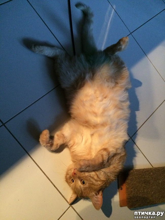 ���� 2: ���� ���!