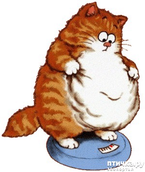 ����: ��� ��������� ����� ������