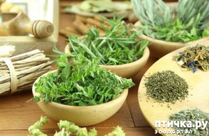 ����: �������� ��� �����: 10 ������ �������� ��� ������ �������.