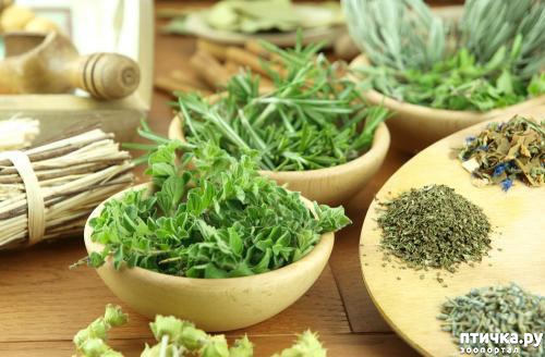 ���� 1: �������� ��� �����: 10 ������ �������� ��� ������ �������.