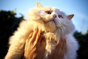 ����: ��� ������ ����� � ������� �� �������� �����