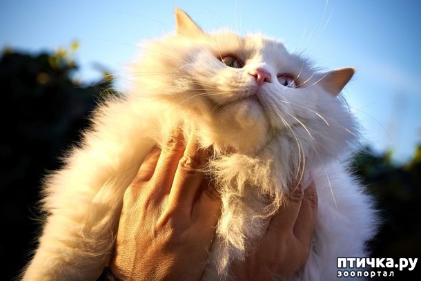 ���� 1: ��� ������ ����� � ������� �� �������� �����