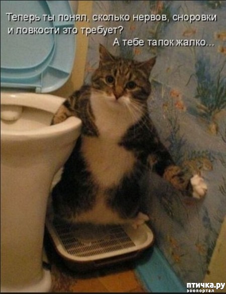 ���� 4: ��� ������ ����� � ������� �� �������� �����