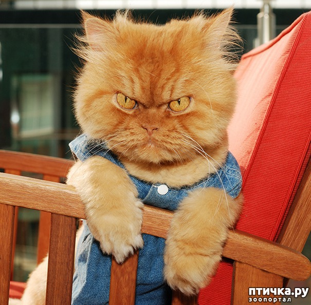 ���� 2: ��� ������ ����� � ������� �� �������� �����