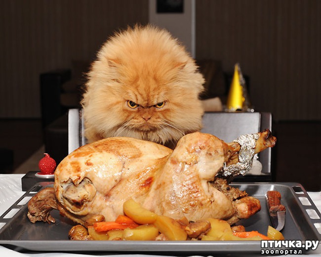 ���� 3: ��� ������ ����� � ������� �� �������� �����