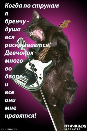 ����: ��� - ��������.