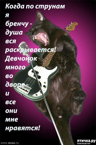 ���� 1: ��� - ��������.