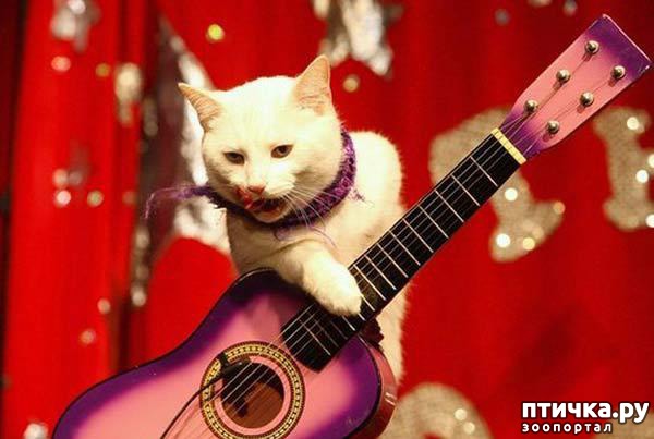 ���� 3: ��� - ��������.