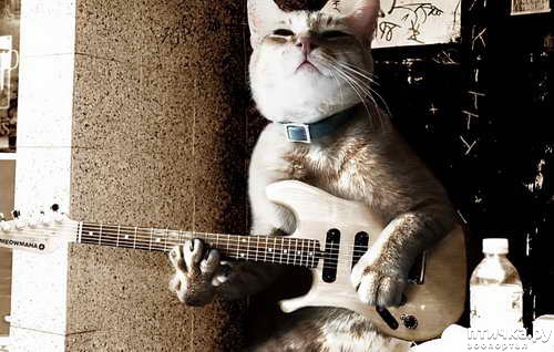 ���� 4: ��� - ��������.