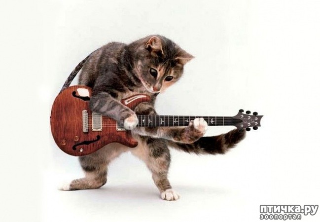 ���� 6: ��� - ��������.