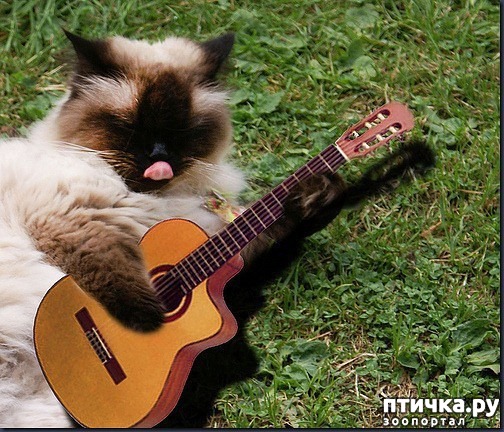 ���� 7: ��� - ��������.