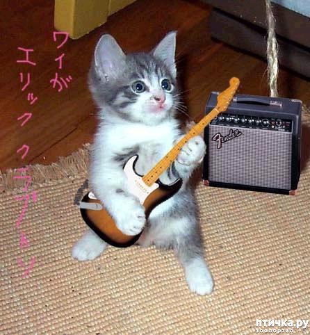 ���� 8: ��� - ��������.