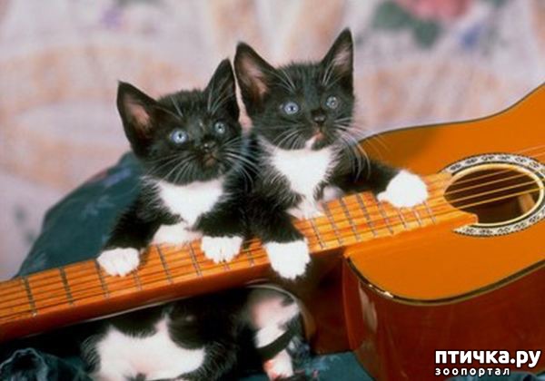 ���� 9: ��� - ��������.