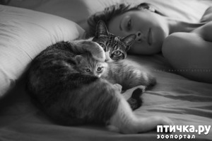 ����: ������ ����� ���� �� ��������?