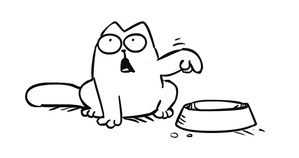 ����: ���� ������, ����� ���� ������� ���� � ���� ����� 20 ���, �������� ��� ������