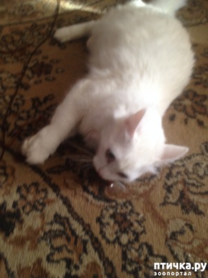 ����: ���� ��� ����.