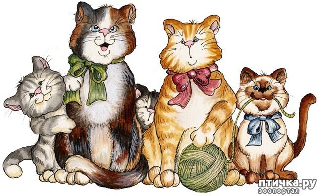 ���� 1: �� ��� �������� ����� ��?