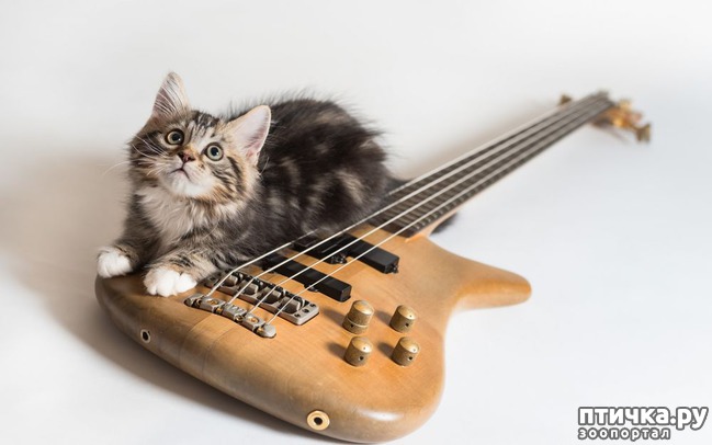 ���� 10: ��� - ��������.